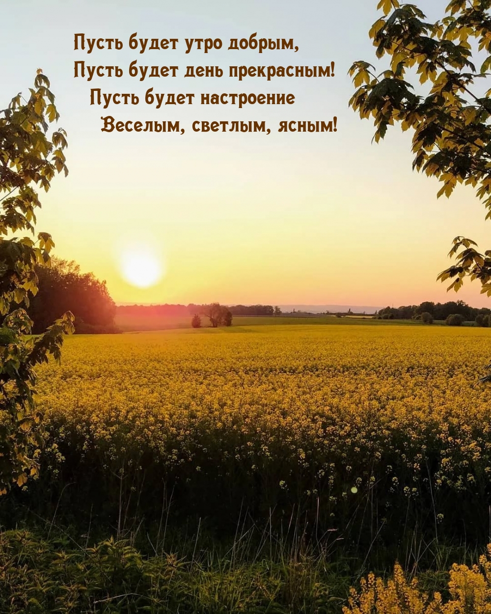 Пусть будет утро добрым, пусть будет день прекрасным!