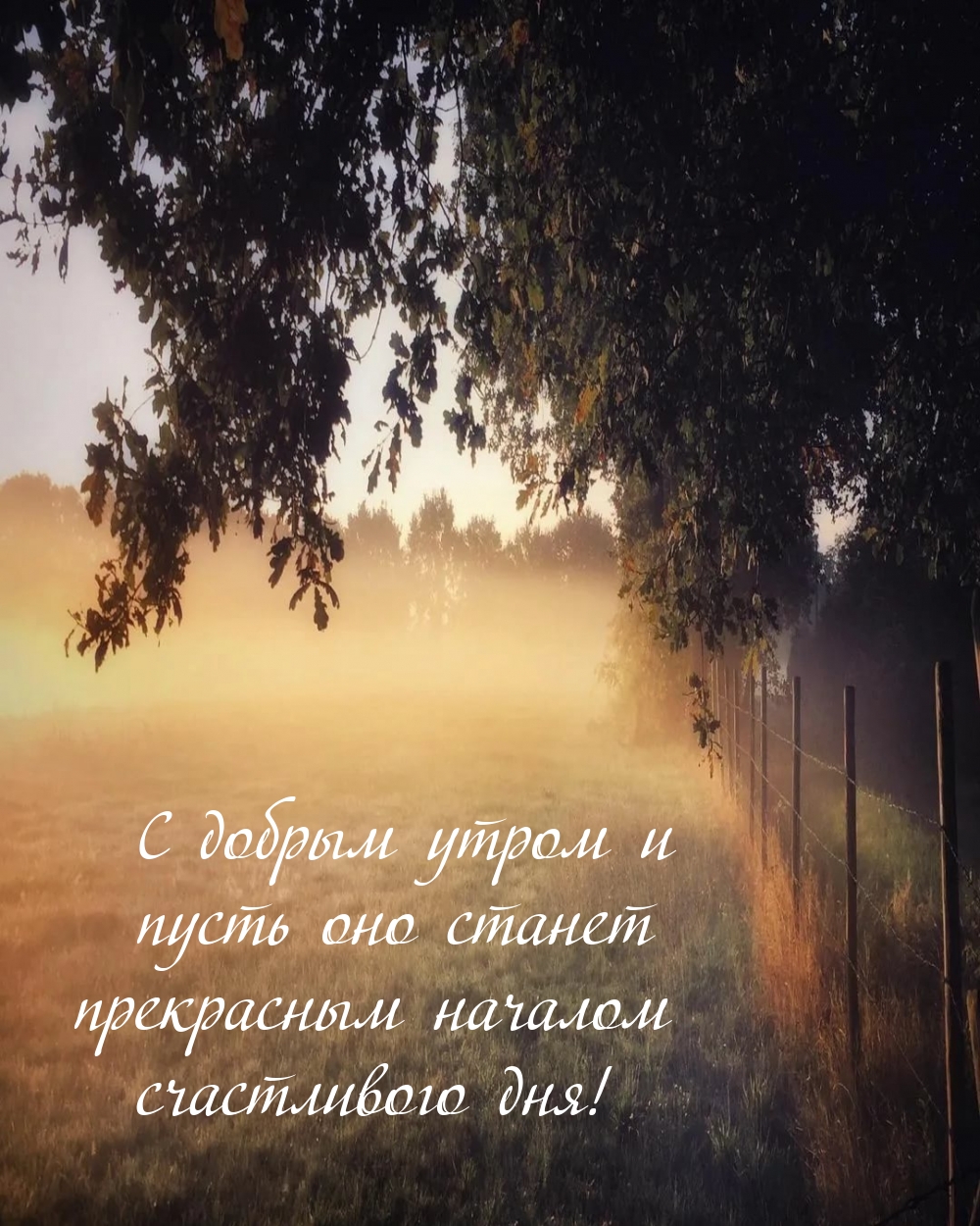 � ������ ����� � ����� ��� ������ ���������� ������� ���!