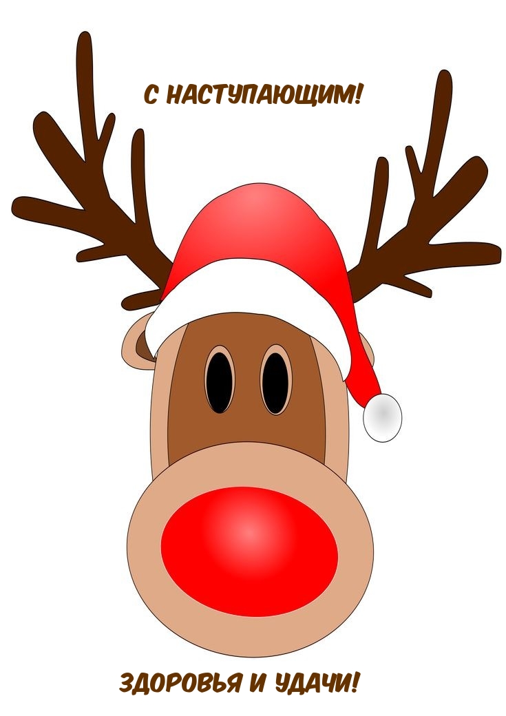 � �����������! �������� � �����!