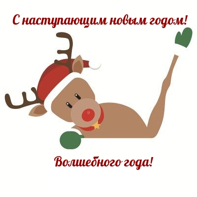 � ����������� ����� �����! ���������� ����!