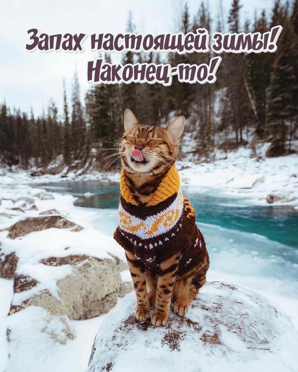 Запах настоящей зимы! Наконец-то!