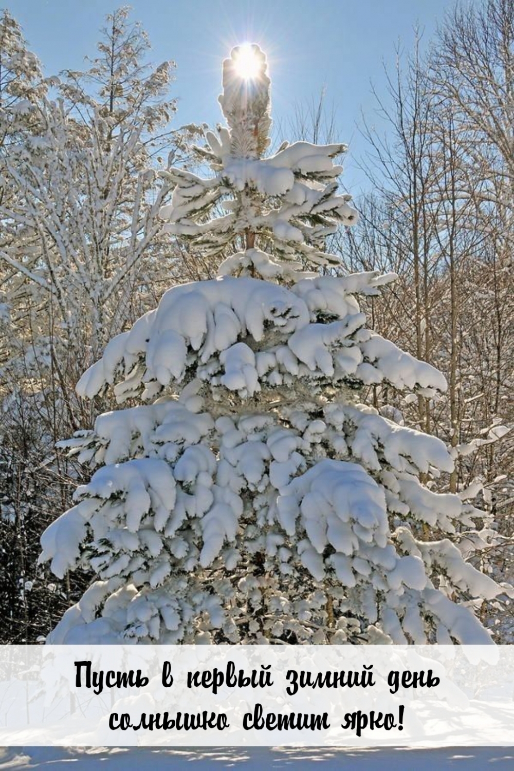 ����� � ������ ������ ���� �������� ������ ����!.