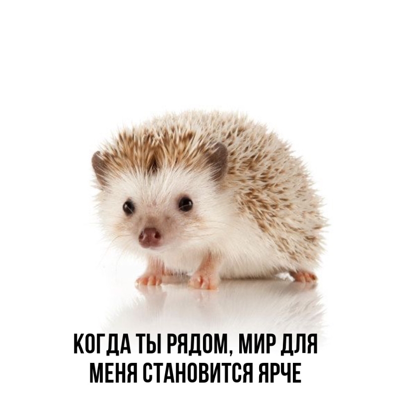 ����� �� �����, ��� ��� ���� ���������� ����