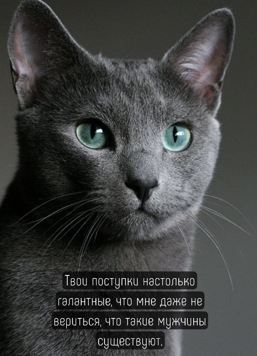 ���� �������� ��������� ���������