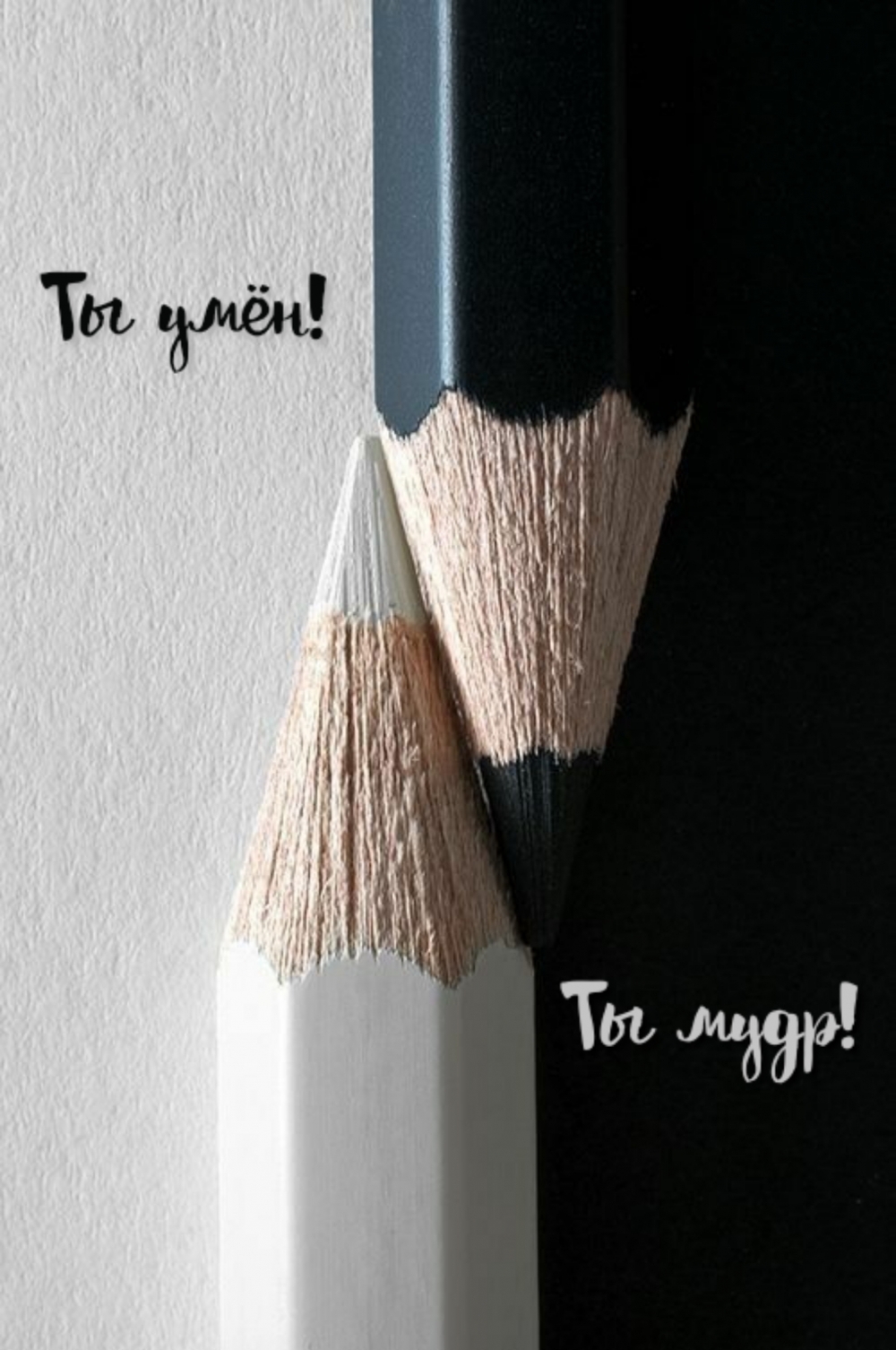 Ты мудр! Ты умён!