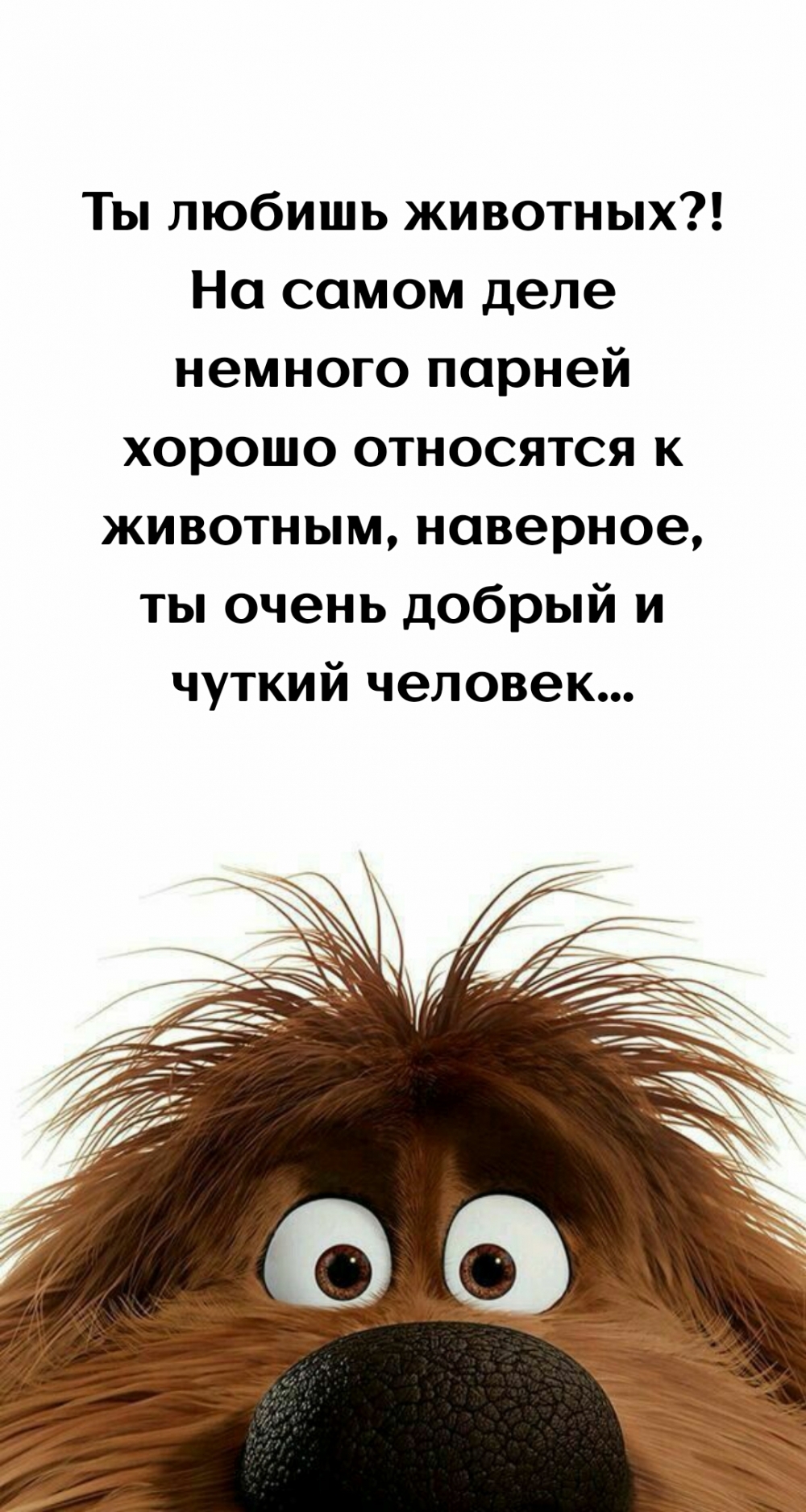 �� ������ ��������?! �� ����� ���� ������� ������