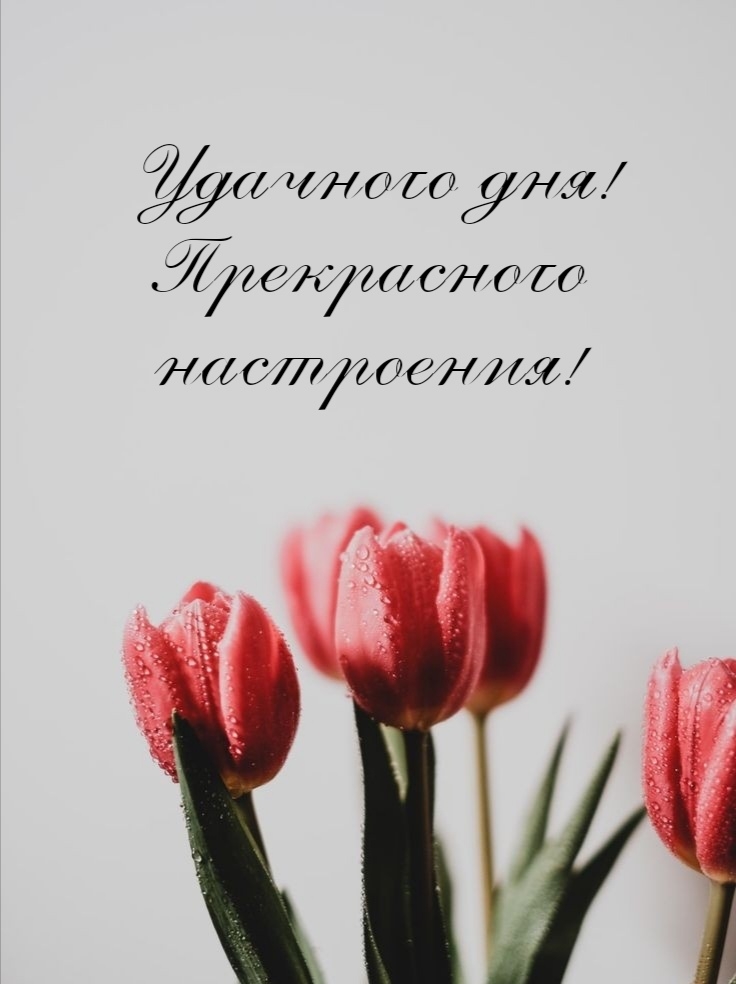 �������� ���! ����������� ����������!