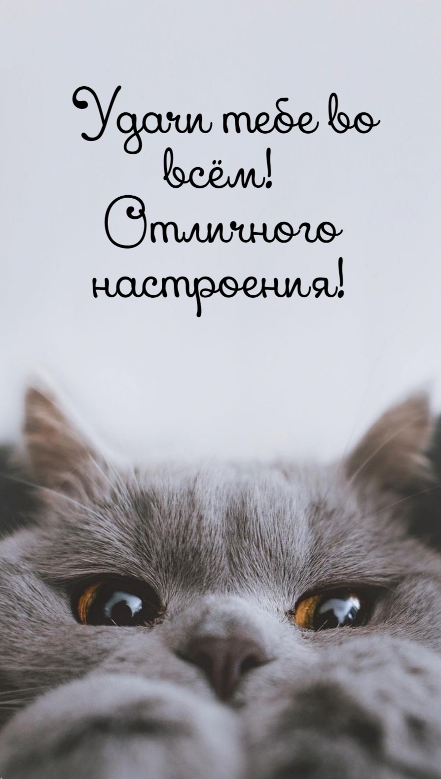 ����� ���� �� ���! ��������� ����������!.