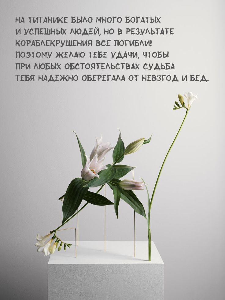 �� �������� ���� ����� �������.. ������� ����� ���� �����