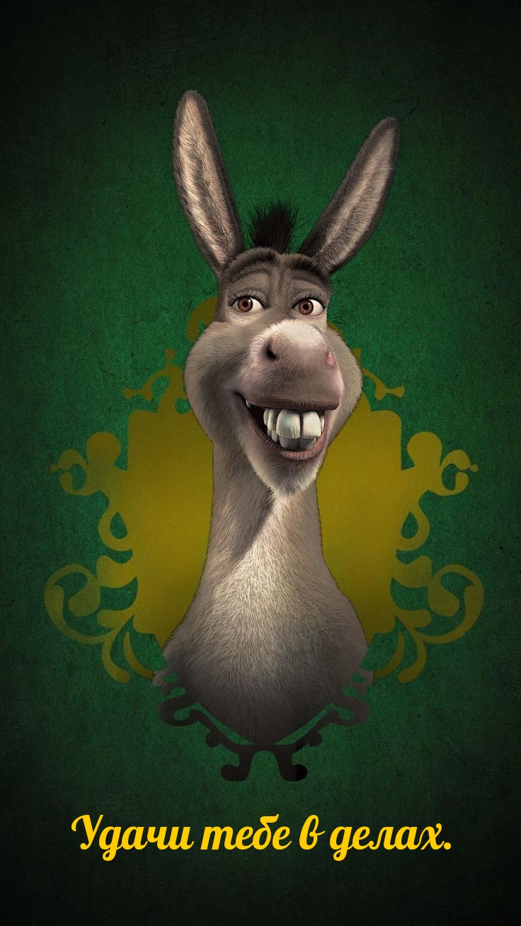 ����� ���� � �����.