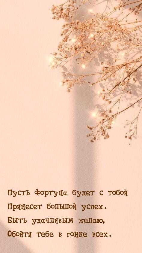 Быть удачливым желаю, обойти тебе в гонке всех.