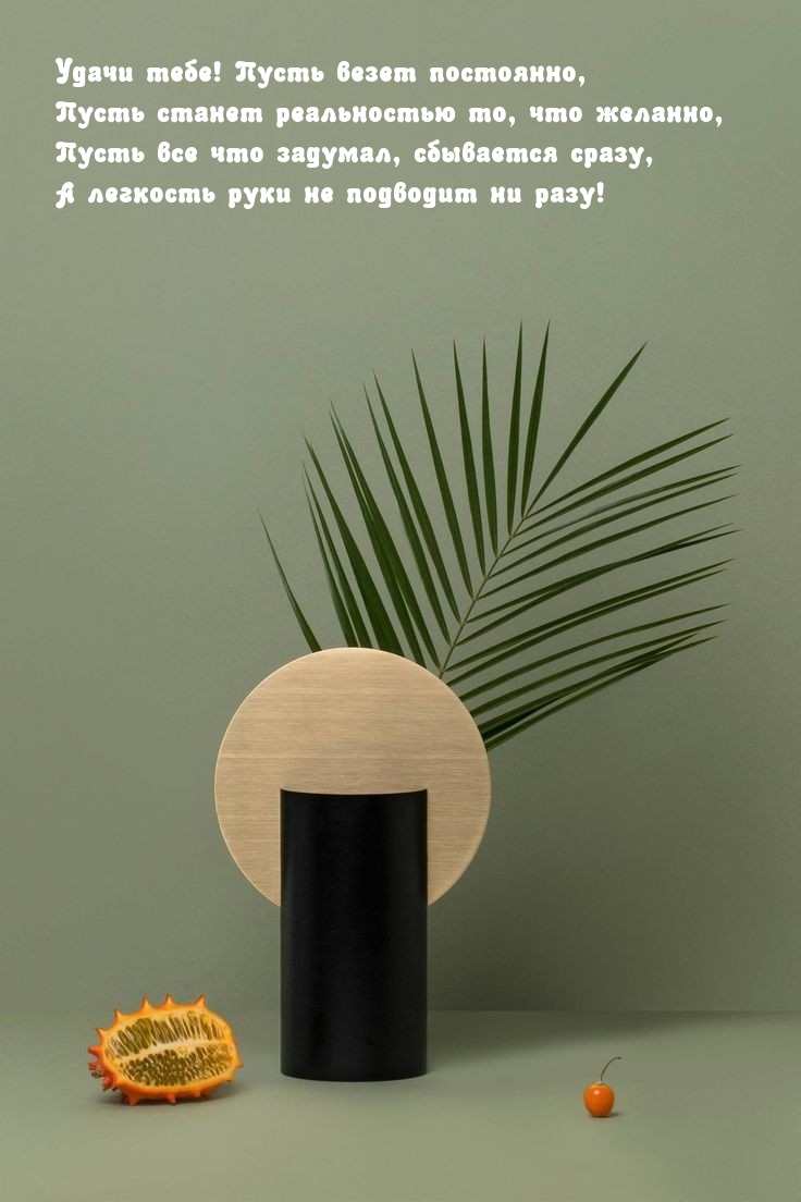 ����� ����! ����� ����� ���������