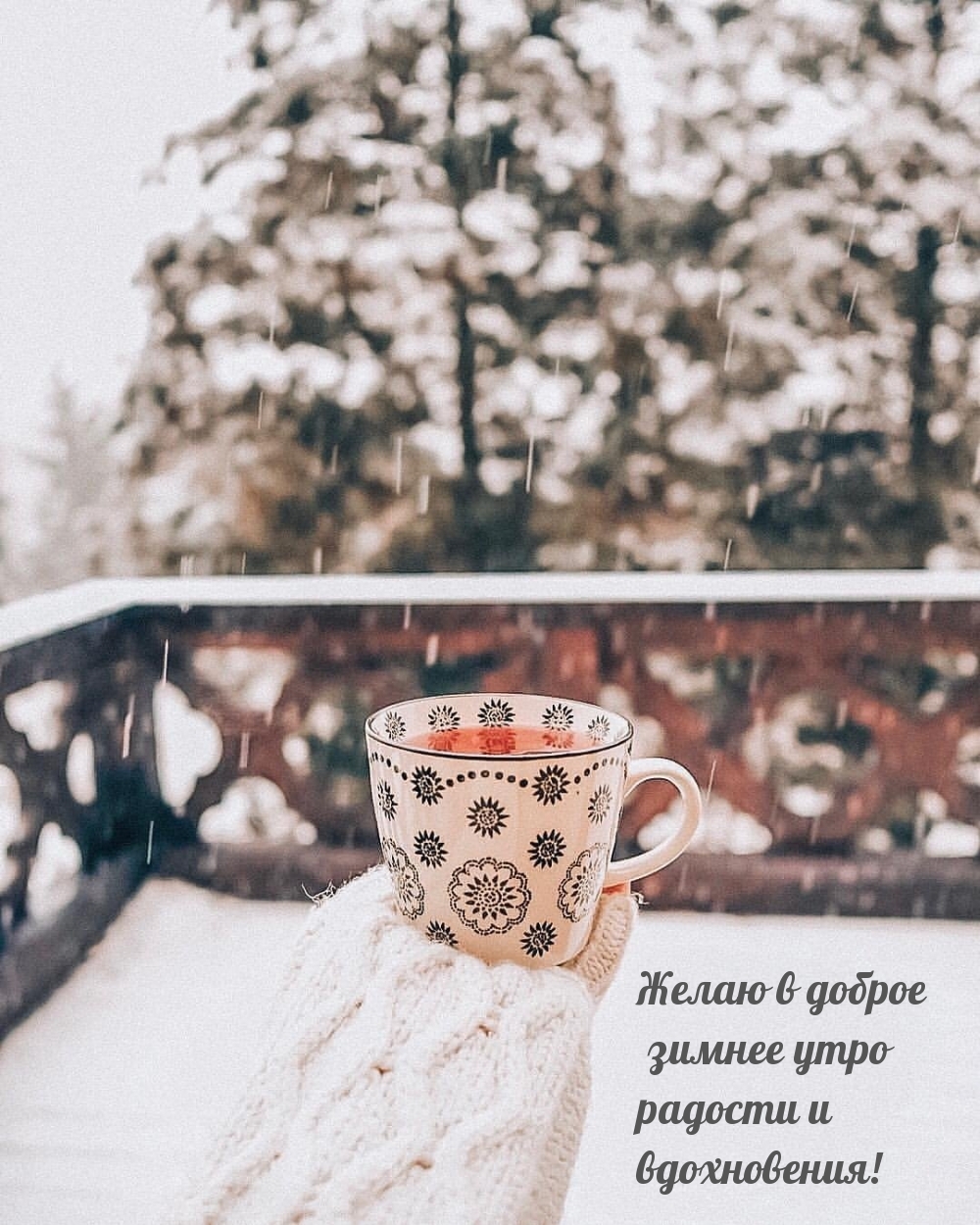 ����� � ������ ������ ���� ������� � �����������!.