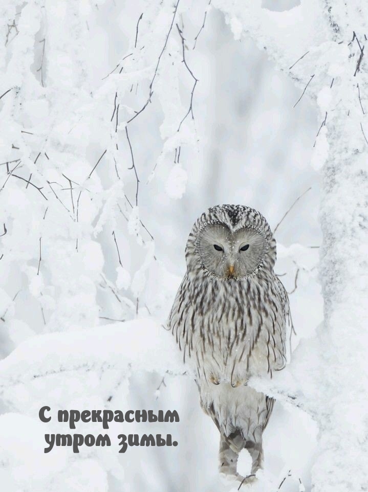 � ���������� ����� ����..