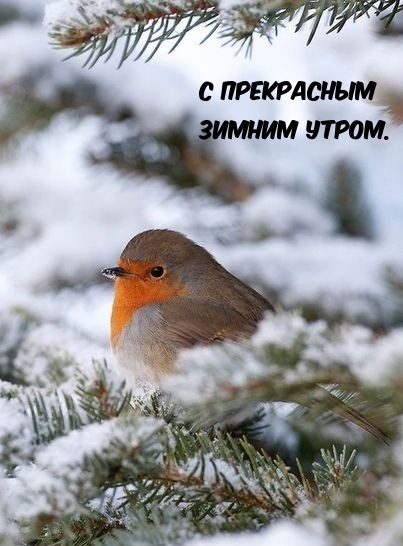    ..