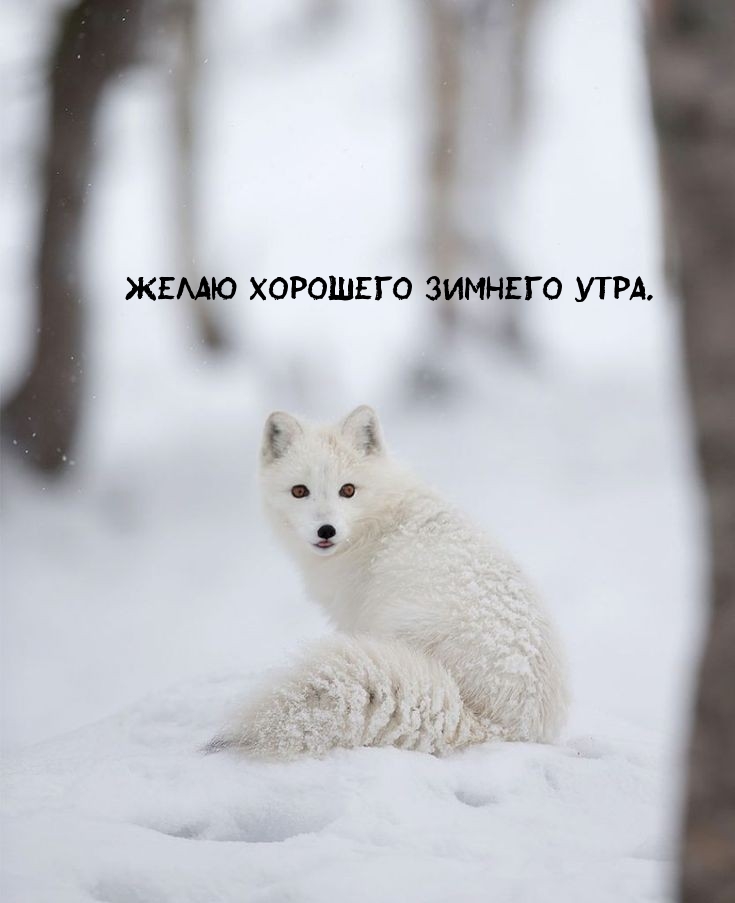 ����� �������� ������� ����..