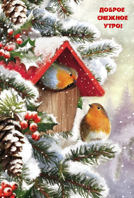 ������ ������� ����!.