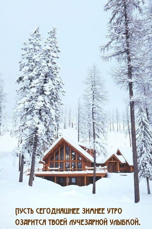 ����� ����������� ������ ���� �������� ����� ���������� �������..