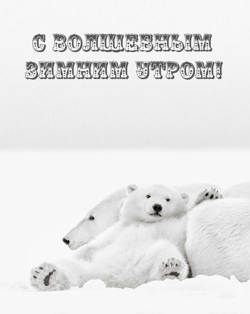 � ��������� ������ �����!.