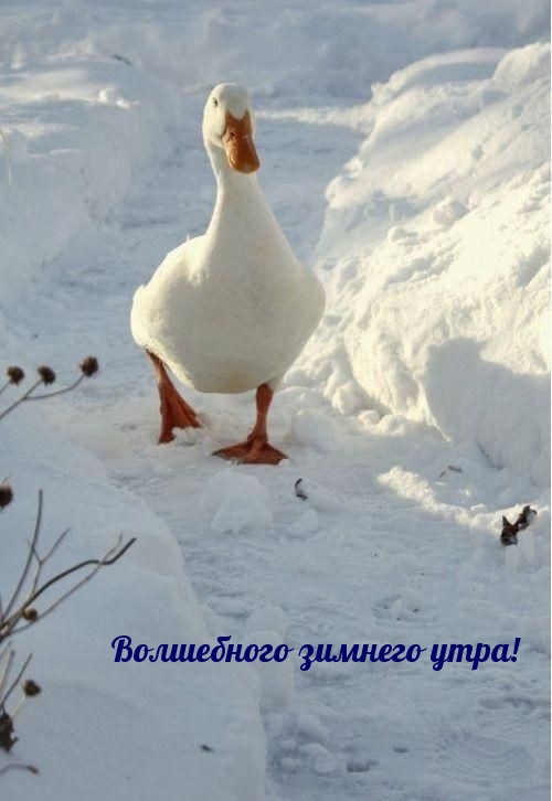   !.