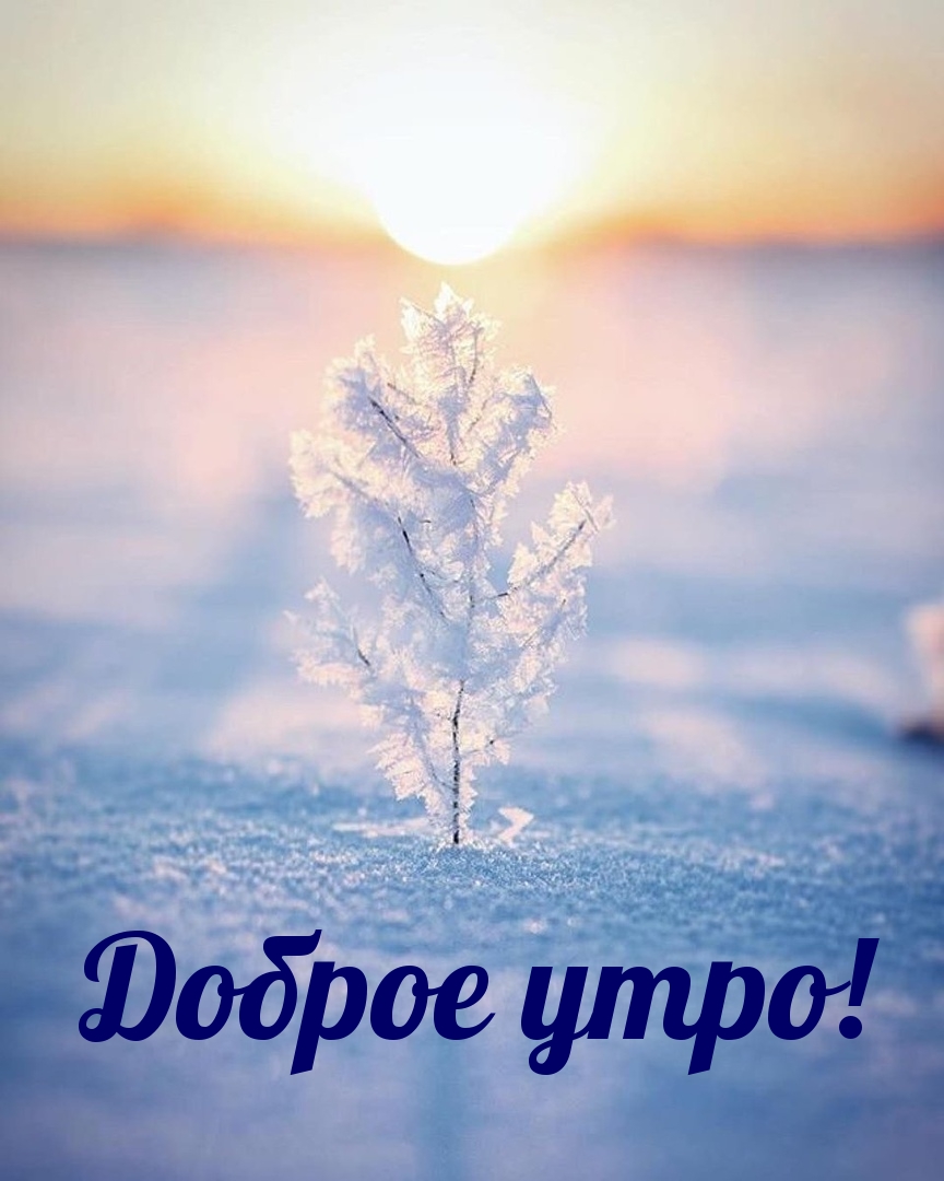 ������ ����!.