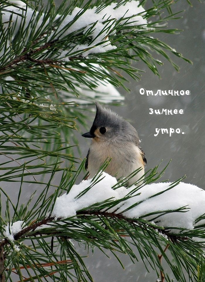 �������� ������ ����..