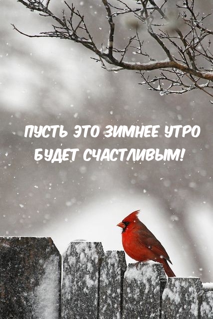 ����� ��� ������ ���� ����� ����������!.