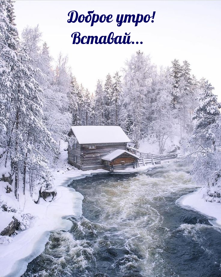 ������ ����! �������....