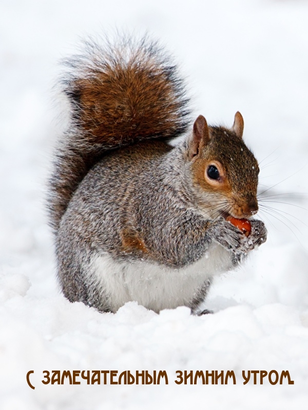 � ������������� ������ �����..