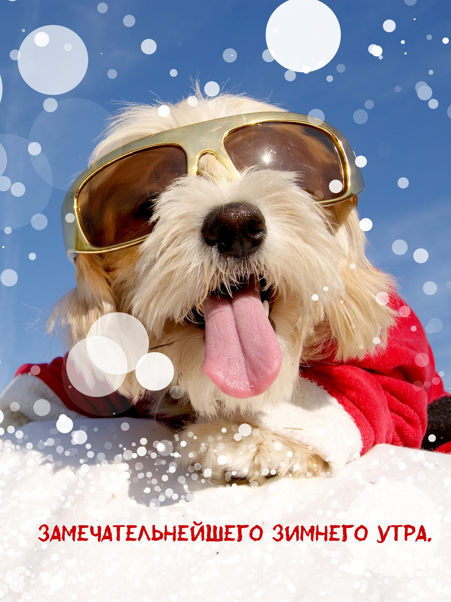 ����������������� ������� ����..