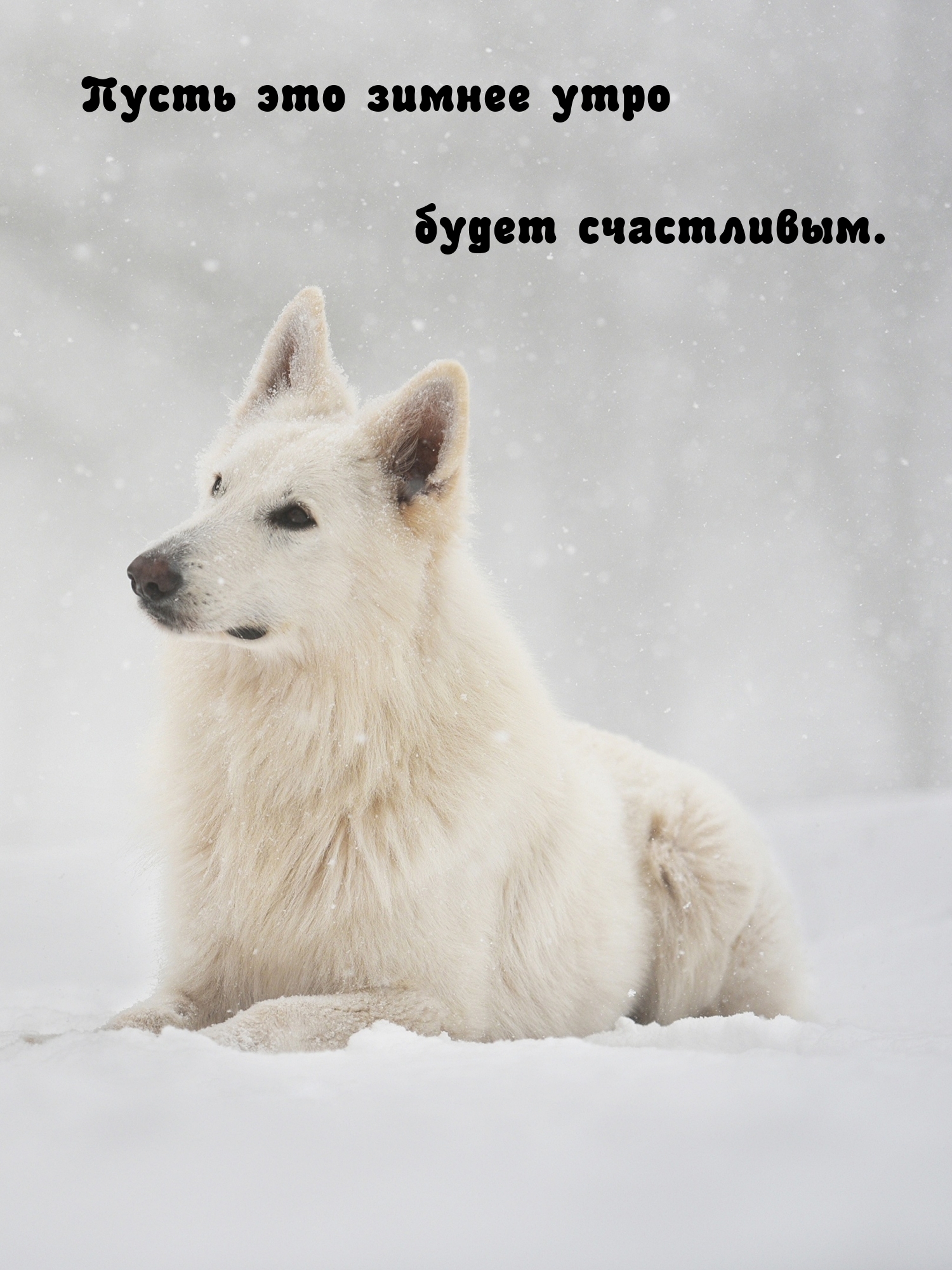 ����� ��� ������ ���� ����� ����������..