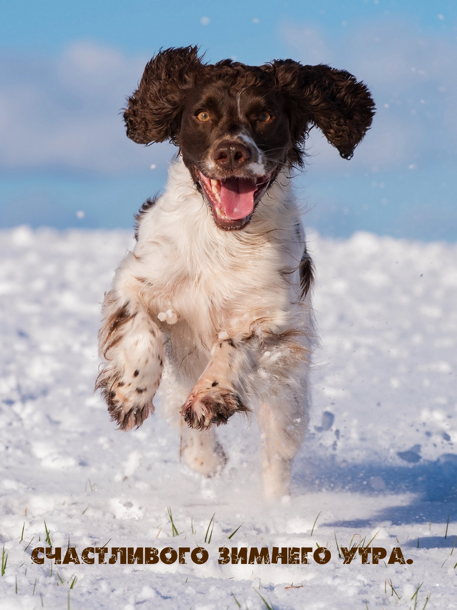 ����������� ������� ����..