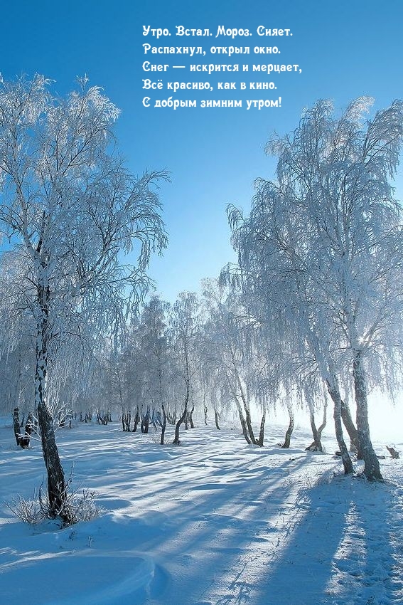 ����. �����. �����. �����..