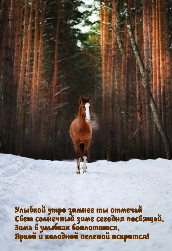 ���� � ������� ����������.