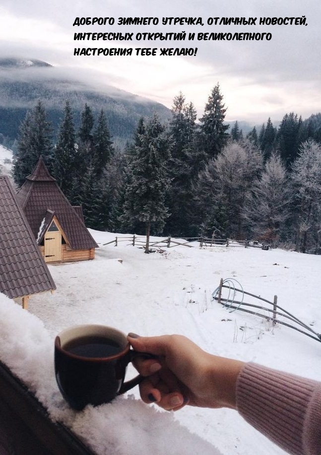 ������� ������� �������, �������� ��������.