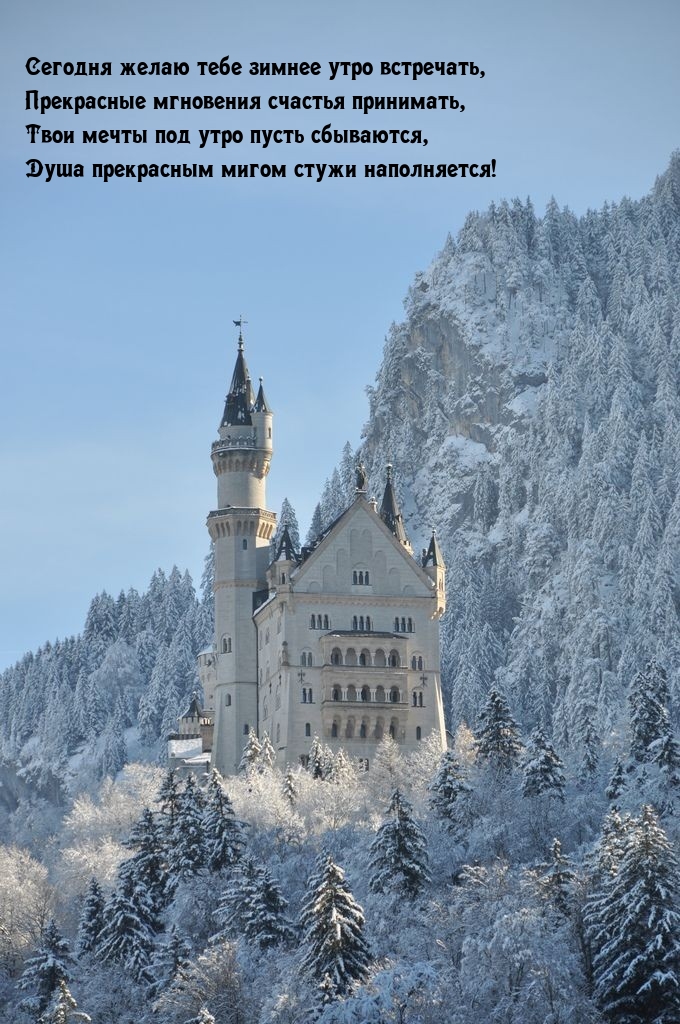 ������� ����� ���� ������ ���� ���������.