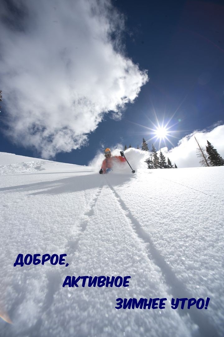 Ostrich Snow Skiing