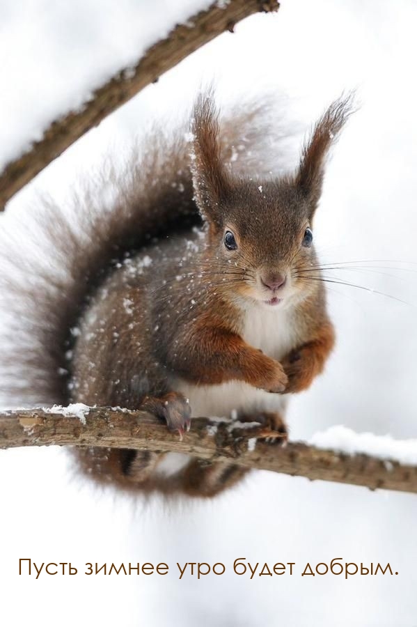 ����� ������ ���� ����� ������.