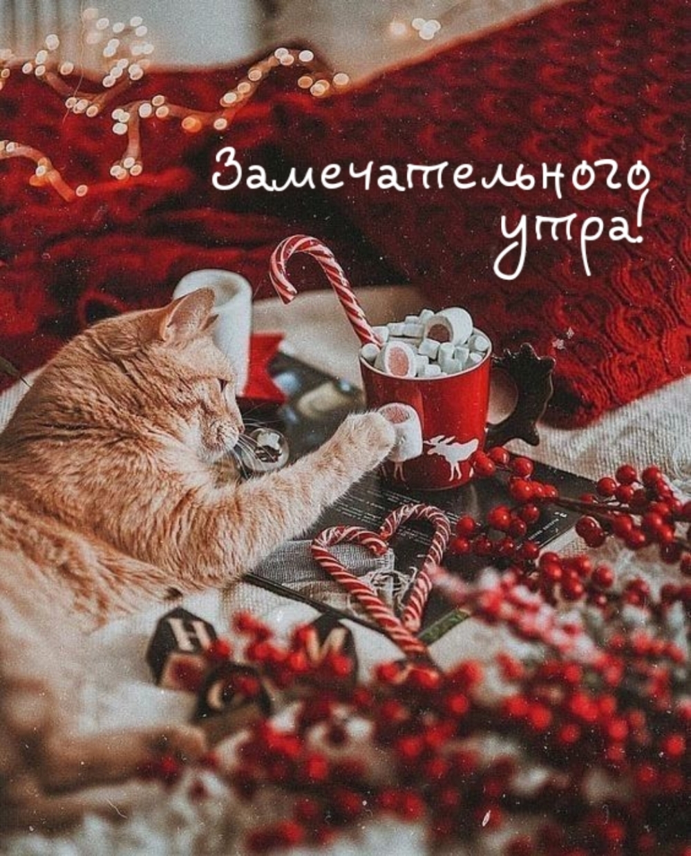  !