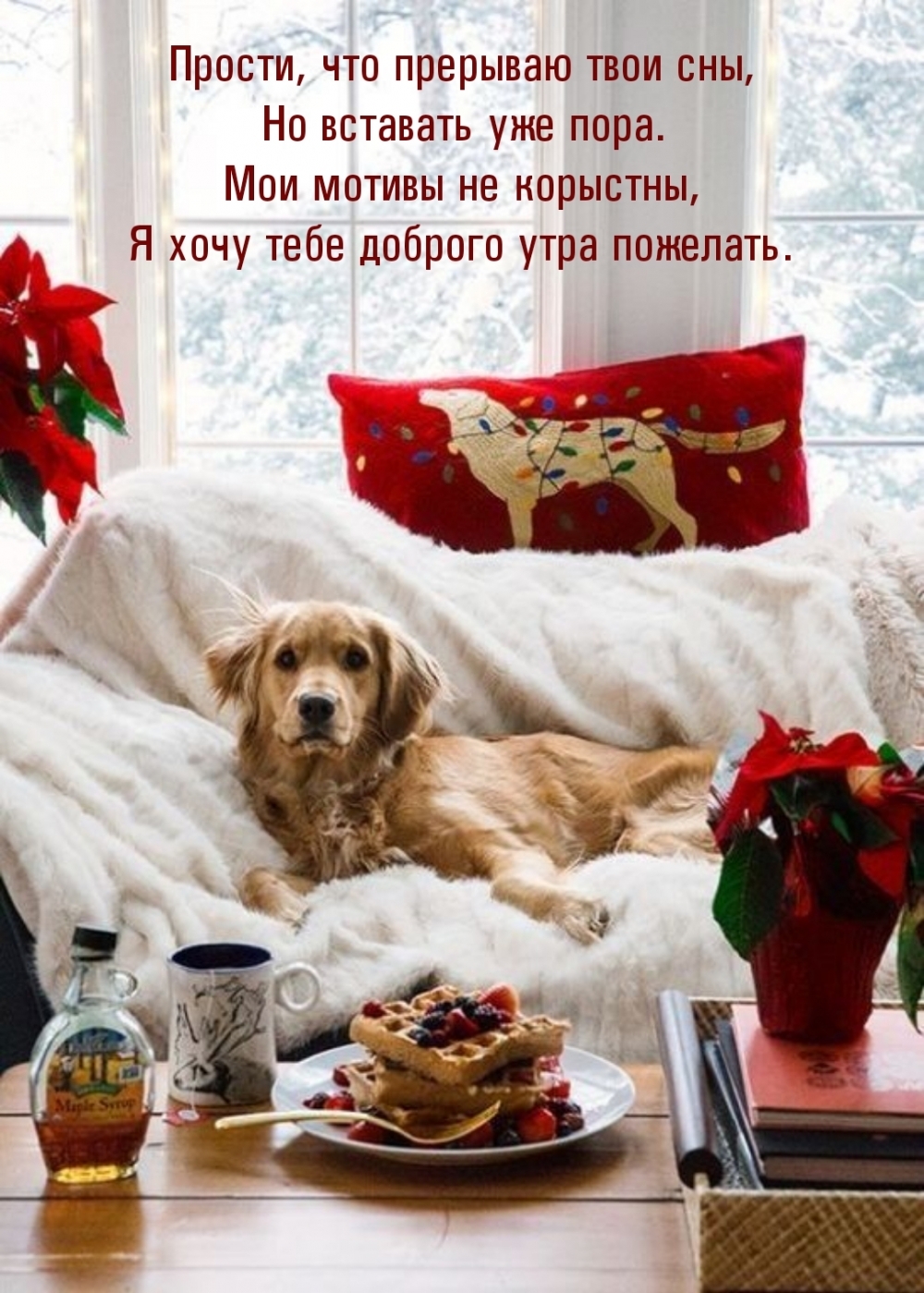 ������, ��� �������� ���� ���, �� �������� ��� ����..