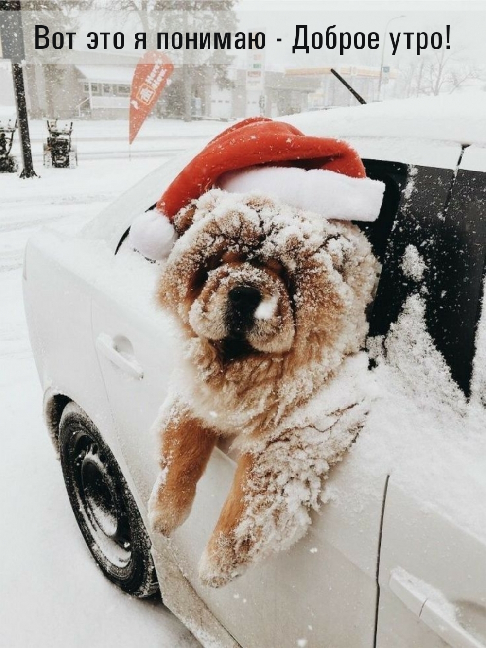 ��� ��� � ������� - ������ ����!.