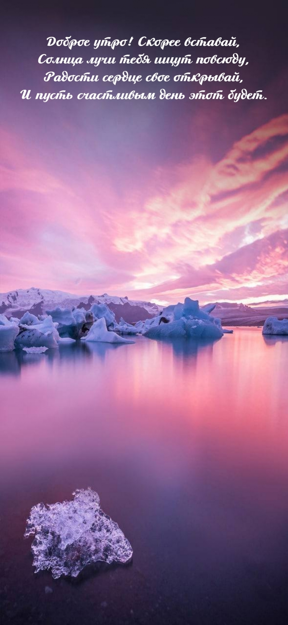 ������ ����! ������ �������