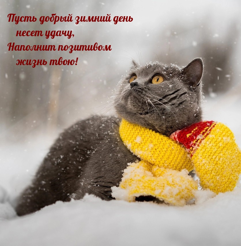 ����� ������ ������ ���� ����� �����