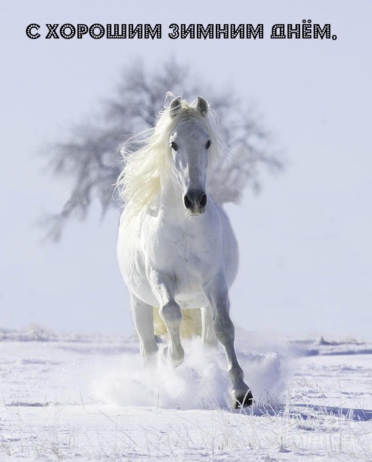 � ������� ������ ����..