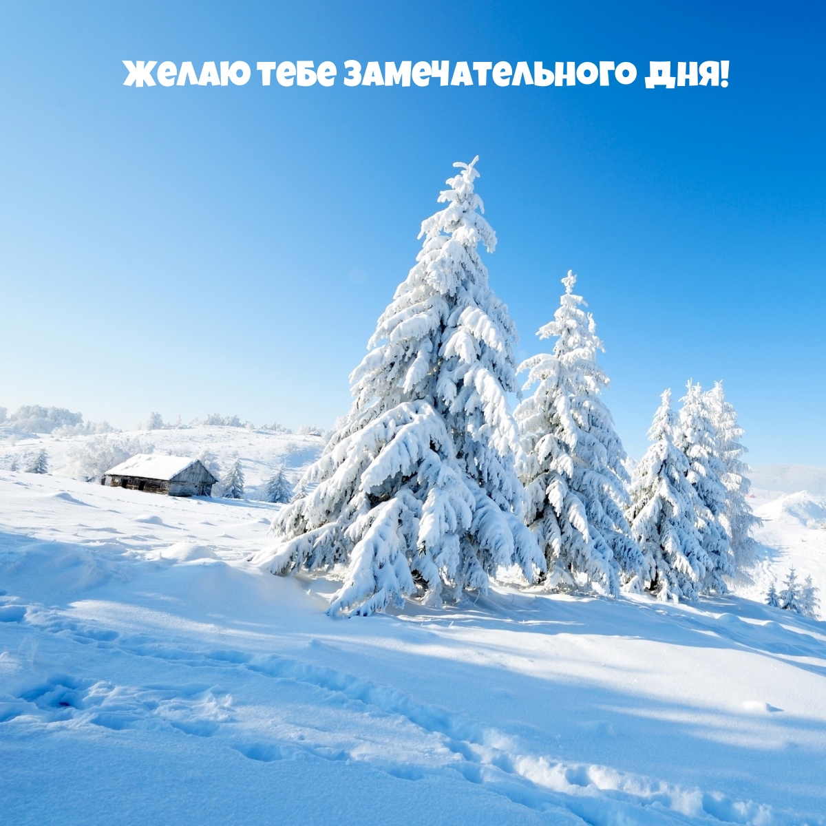 Снежный пейзаж