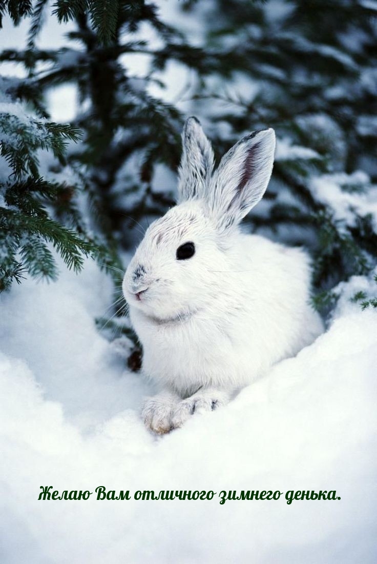 ����� ��� ��������� ������� ������..