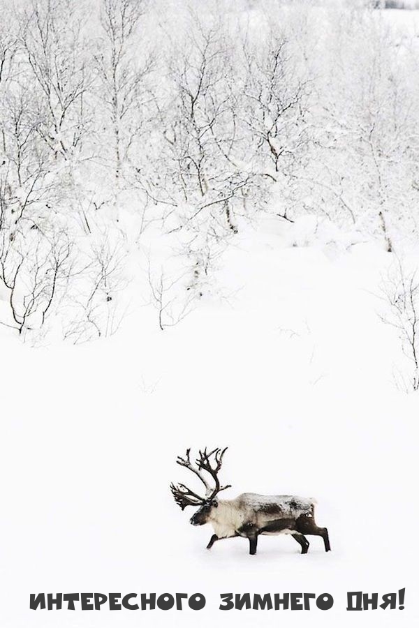 ����������� ������� ���!.