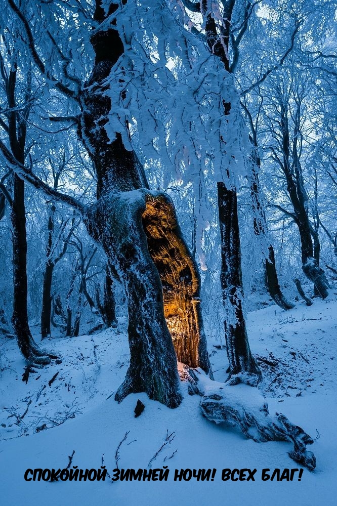 ��������� ������ ����! ���� ����!.