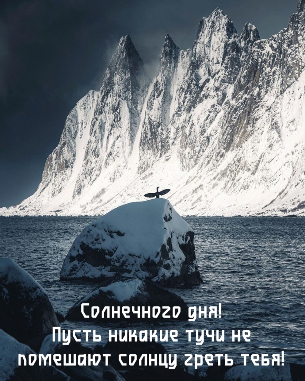 Солнечного дня! Пусть никакие тучи не помешают солнцу греть тебя!