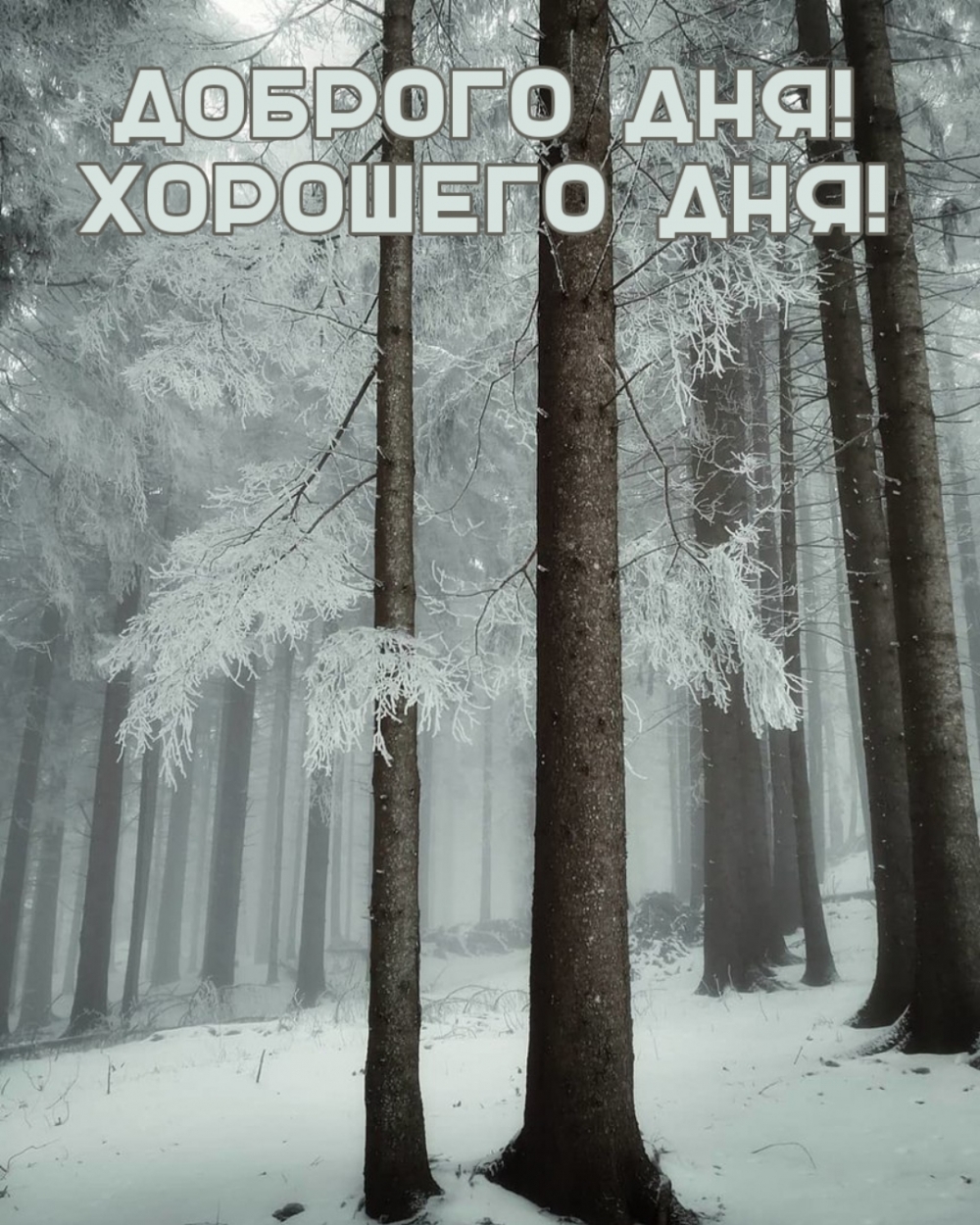  !  !.